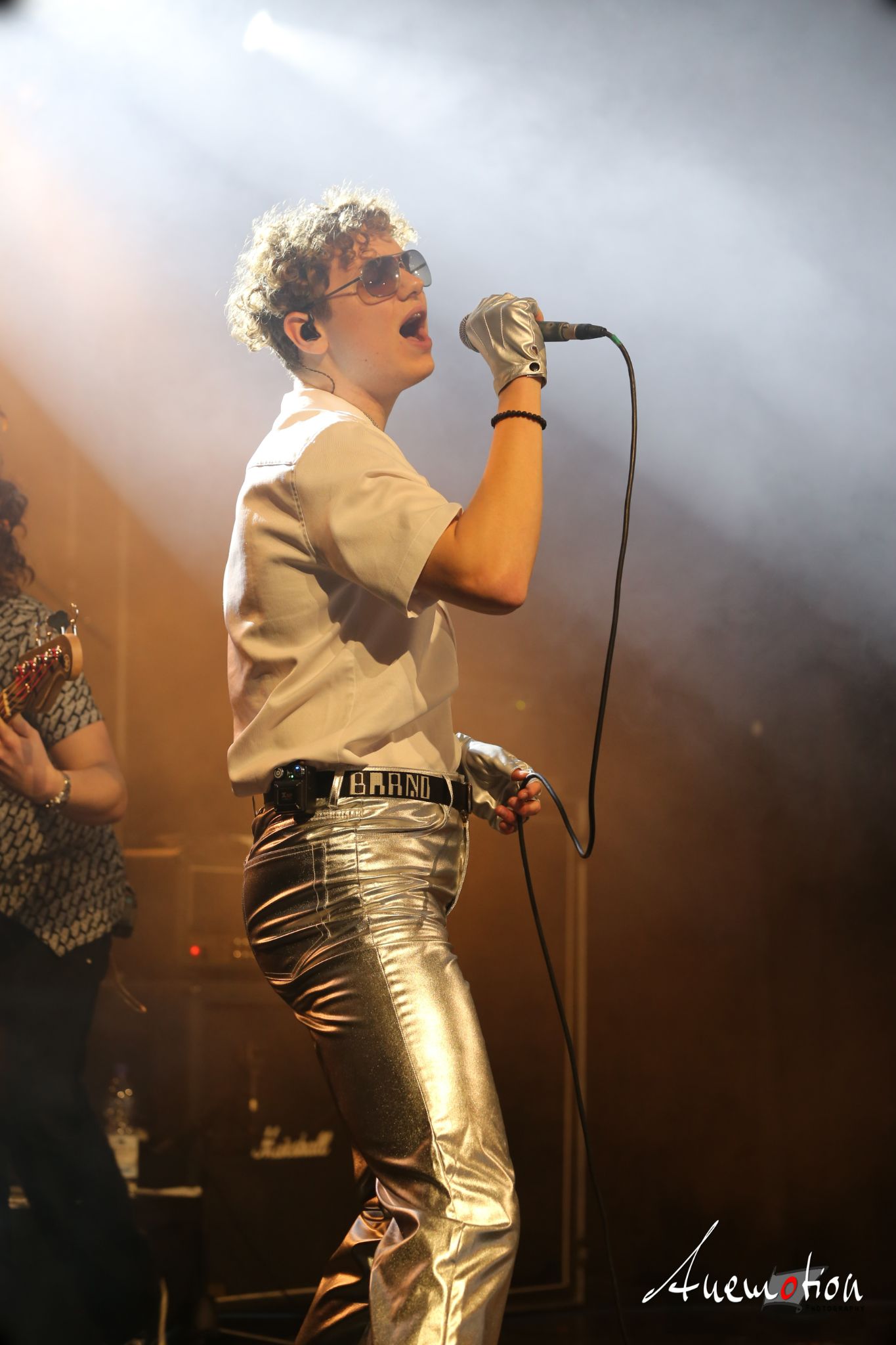 ElephantsFalling (71)